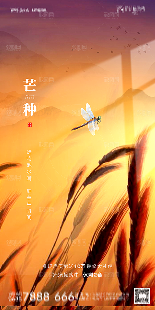 地产芒种节气简约大气海报