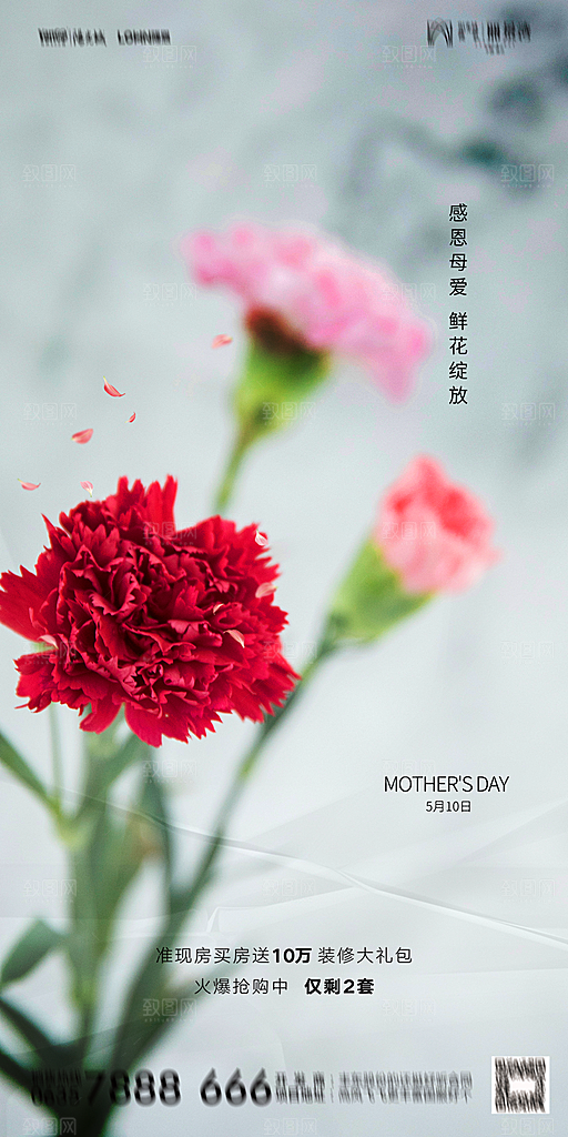 地产母亲节节日简约大气海报