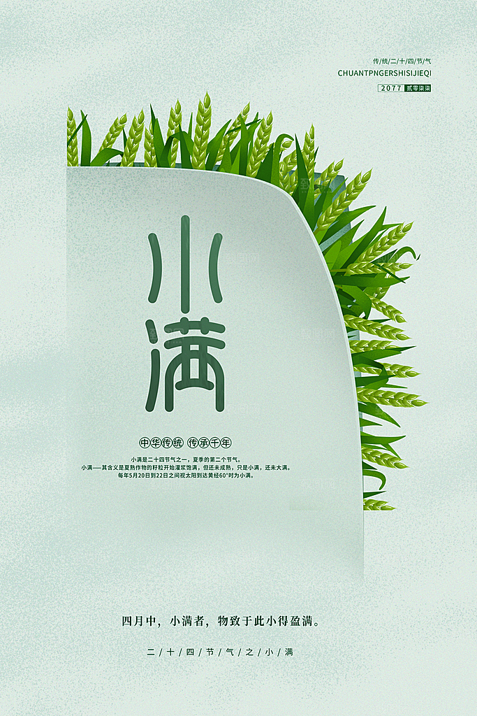 传统节气小满节气海报