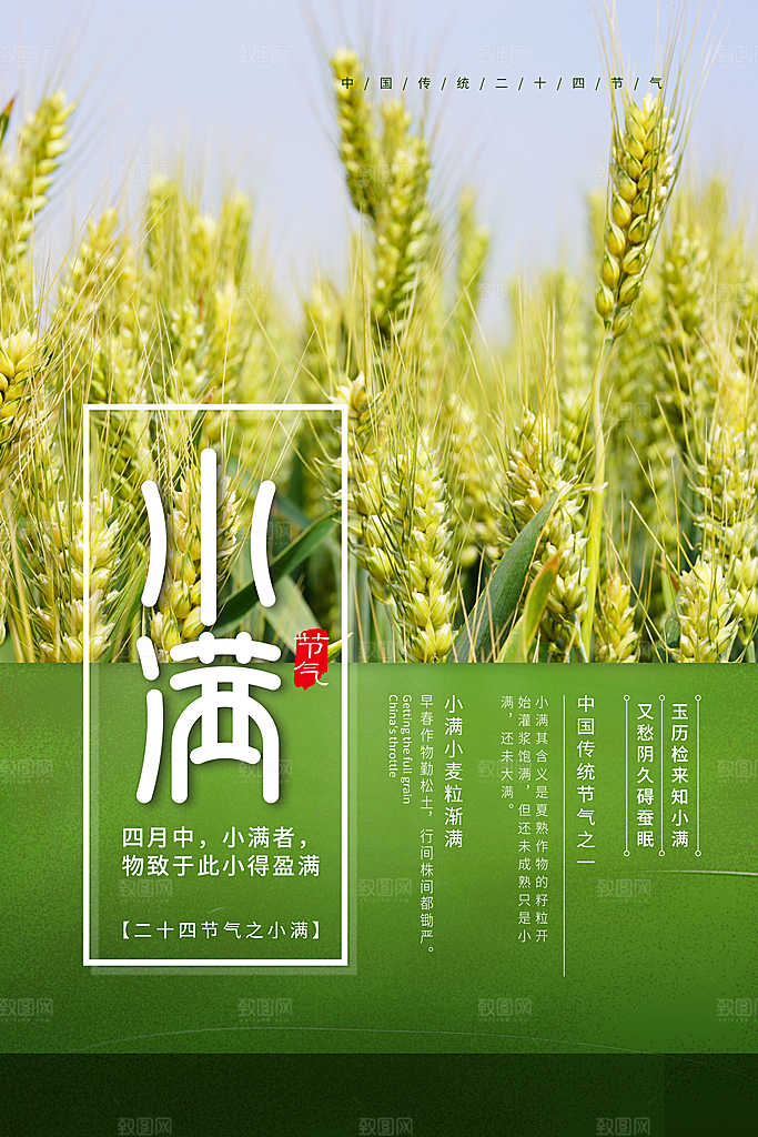 传统节气小满节气海报