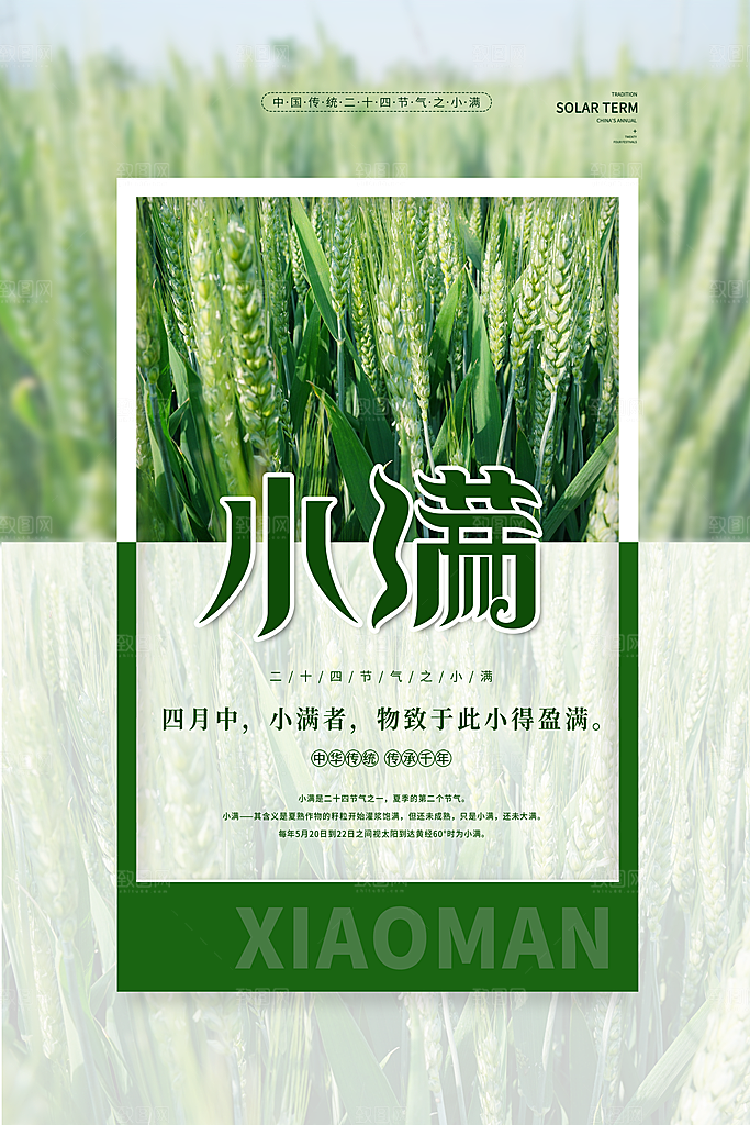 传统节气小满节气海报