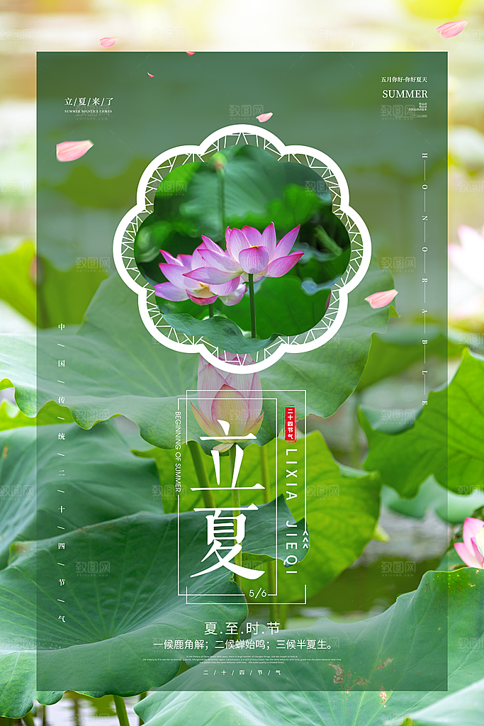 传统节气立夏节气海报