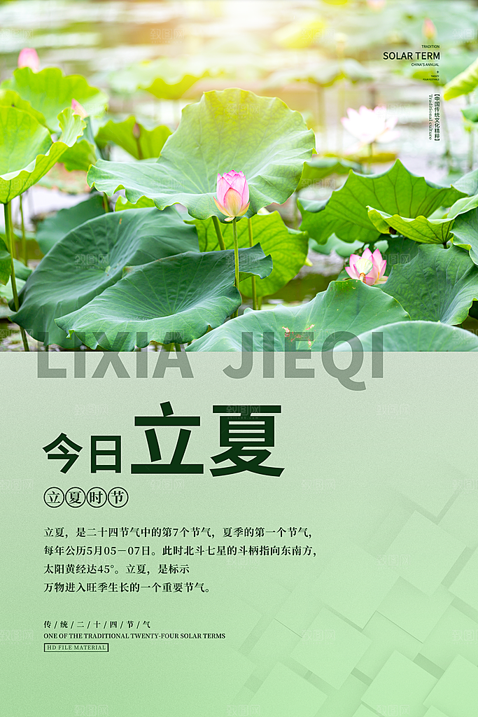 传统节气立夏节气海报