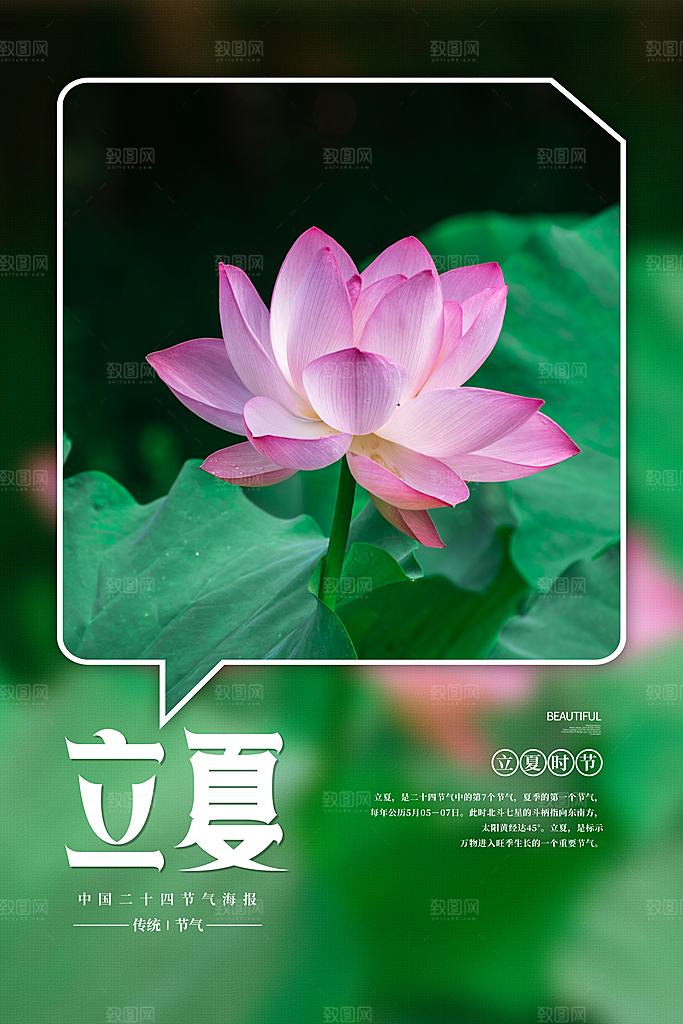传统节气立夏节气海报