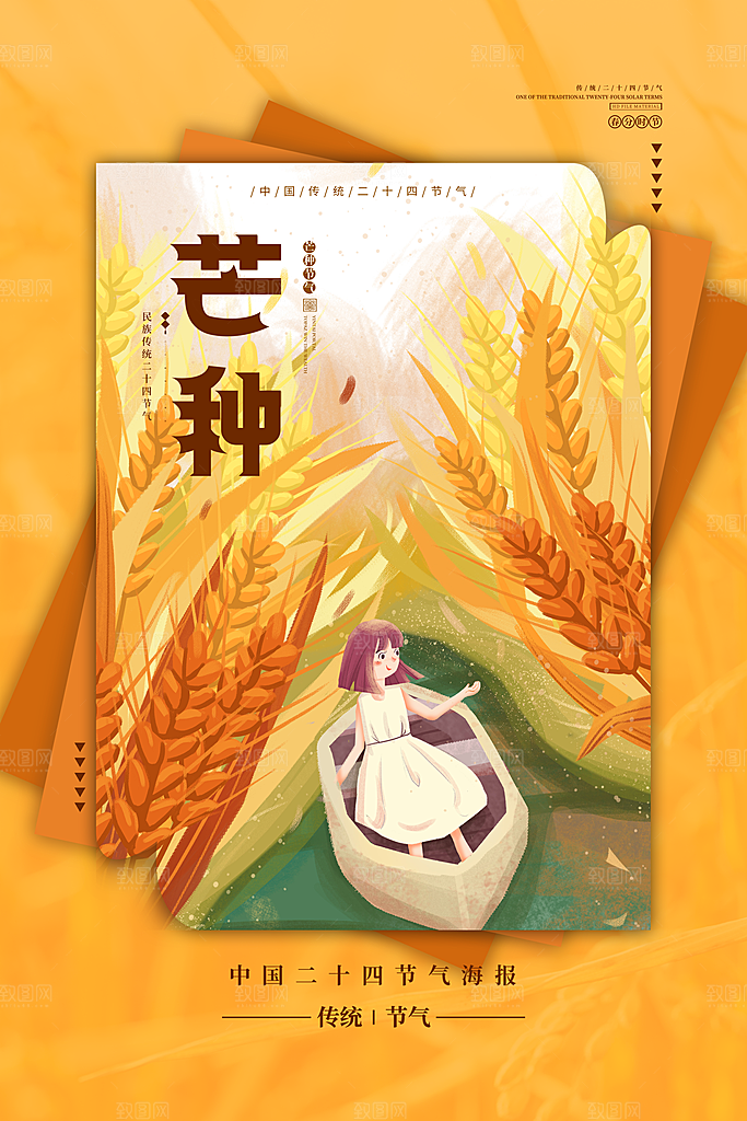 传统节气芒种节气海报
