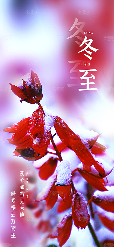 二十四节气冬至海报