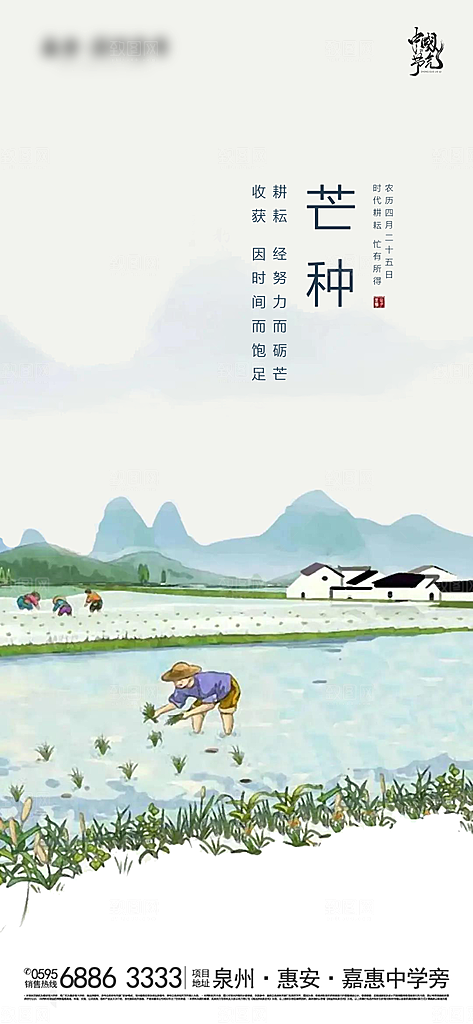 芒种节气海报设计