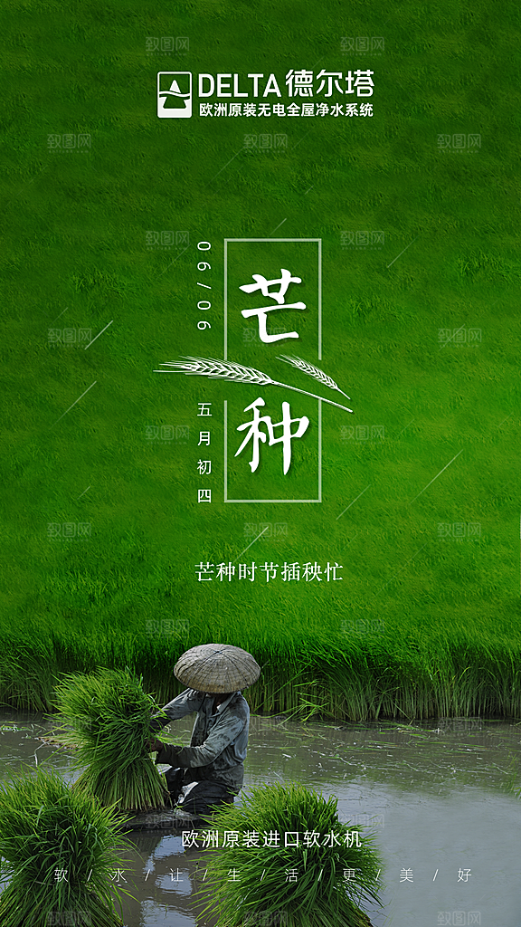 芒种节气海报设计展板