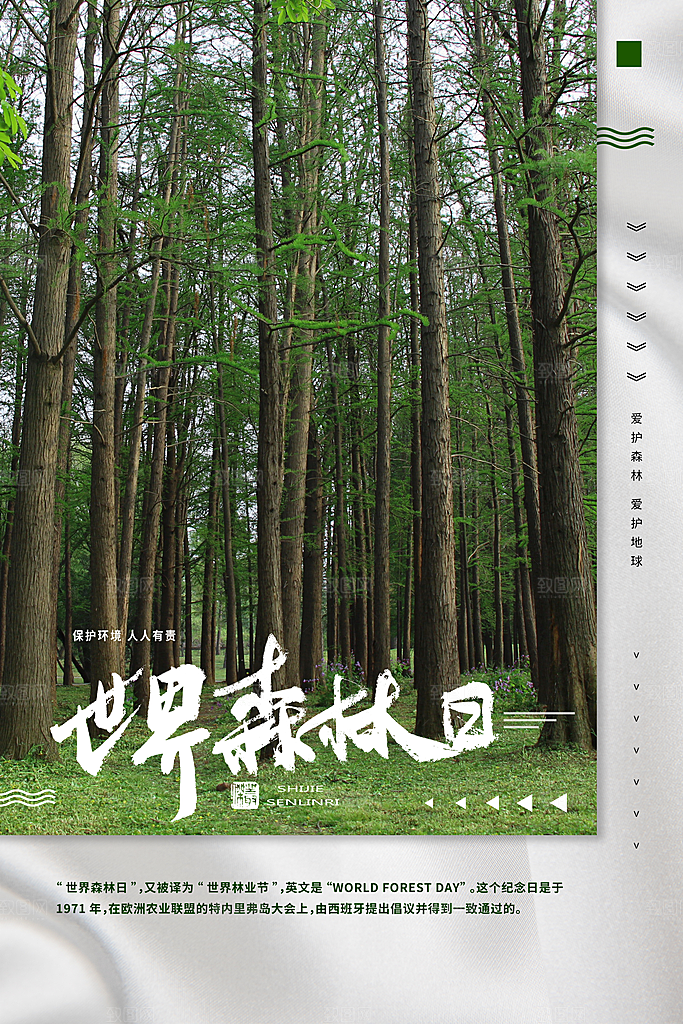 世界森林日保护环境海报