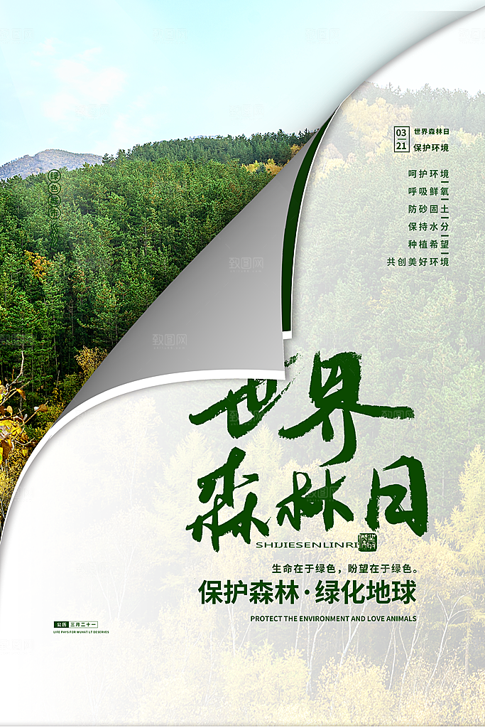 世界森林日保护环境海报