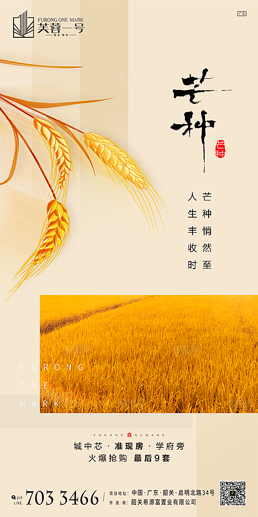 芒种节气宣传海报设计