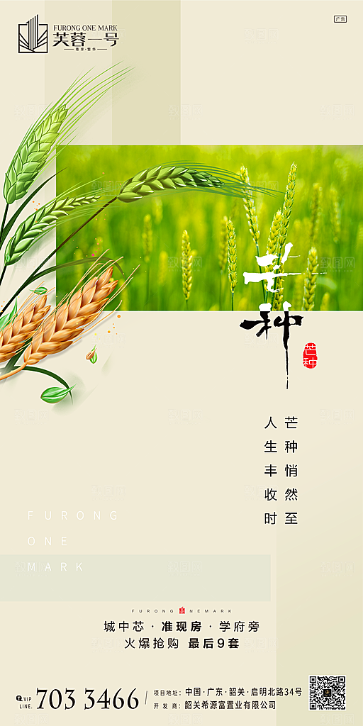 芒种节气宣传海报设计