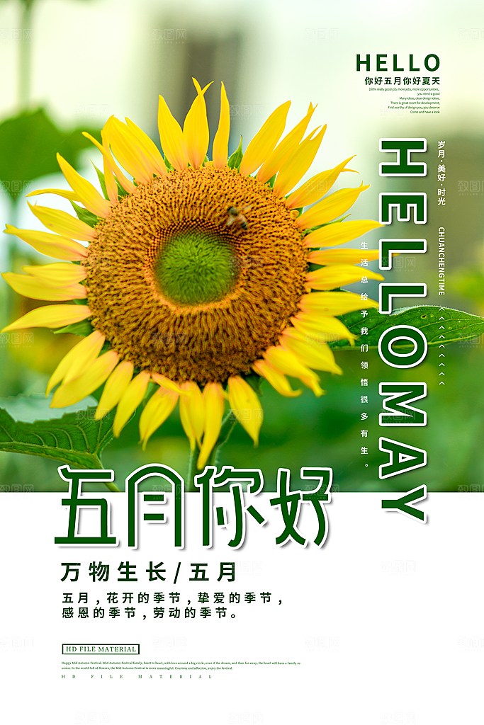 5月你好促销海报
