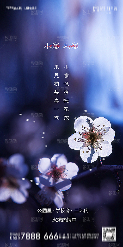 地产小寒节气简约大气海报