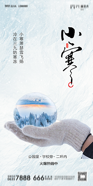 地产小寒节气简约大气海报