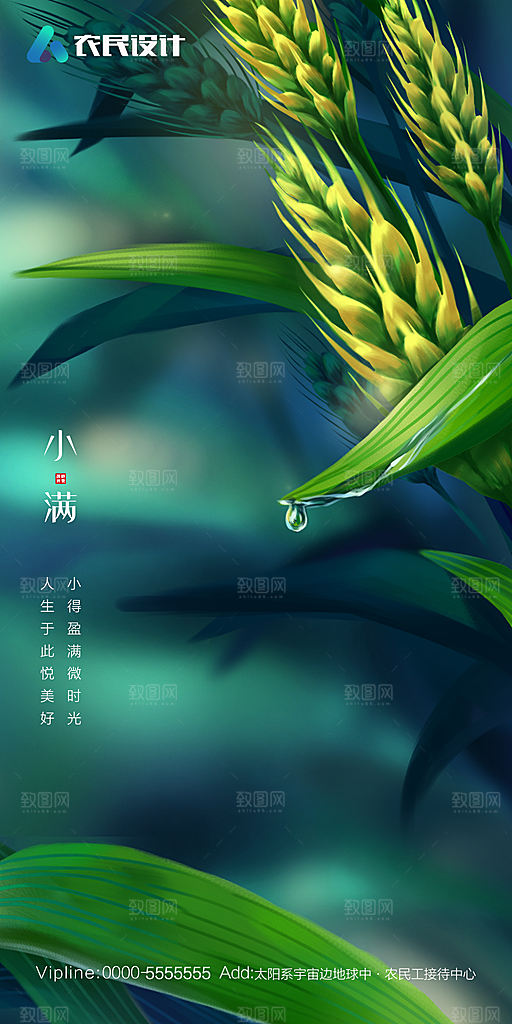 地产小满节气简约大气海报