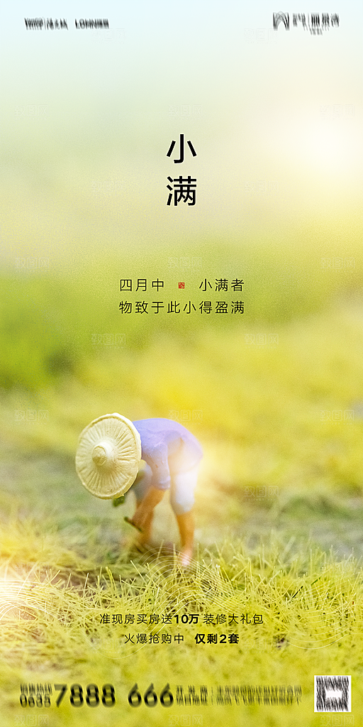 地产小满节气简约大气海报