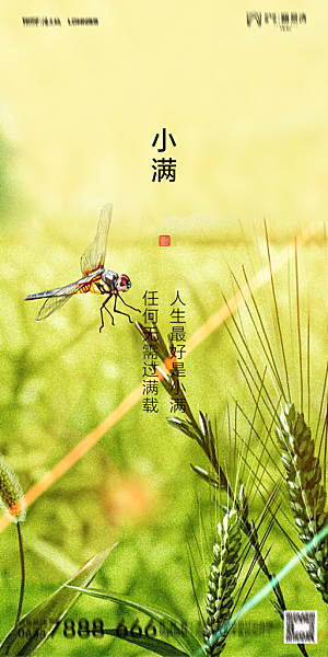 地产小满节气简约大气海报