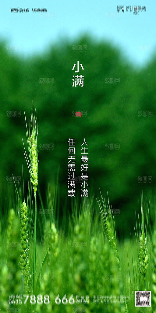 地产小满节气简约大气海报