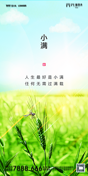地产小满节气简约大气海报