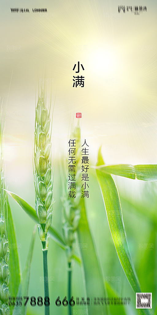 地产小满节气简约大气海报