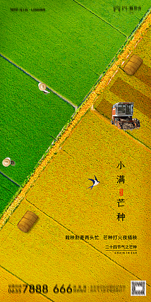 地产小满节气简约大气海报