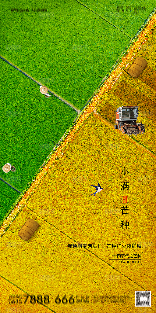 地产小满节气简约大气海报