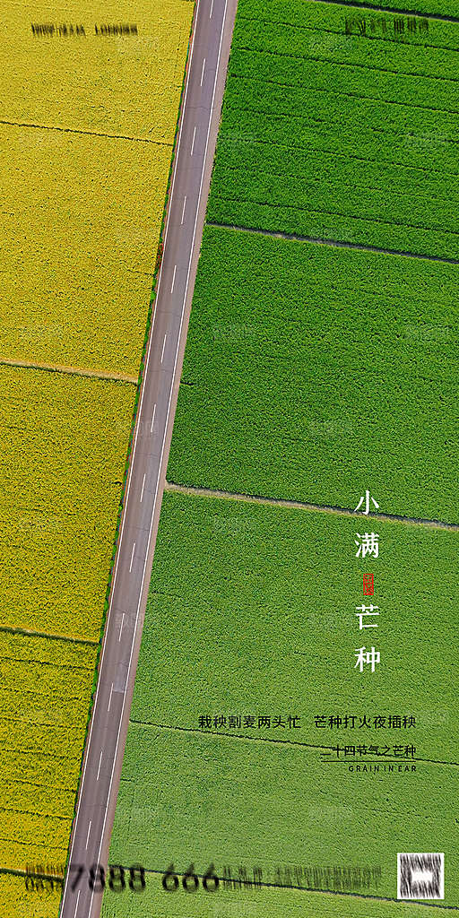 地产小满节气简约大气海报