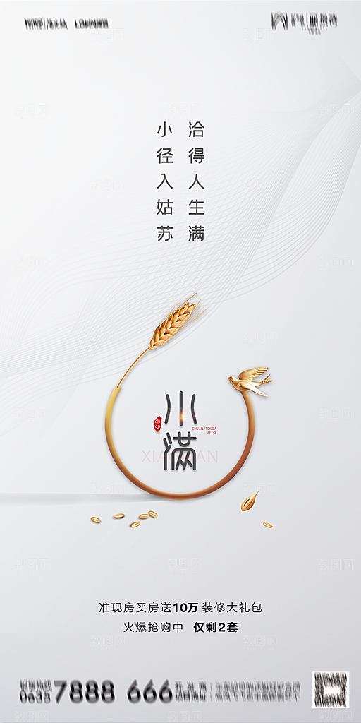 地产小满节气简约大气海报