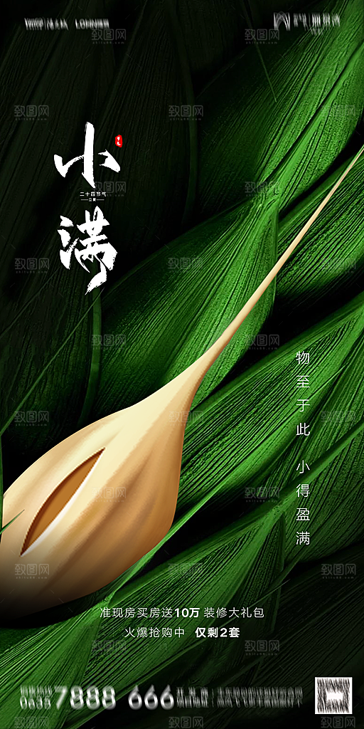 地产小满节气简约大气海报