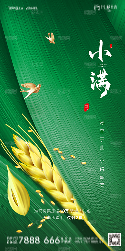 地产小满节气简约大气海报