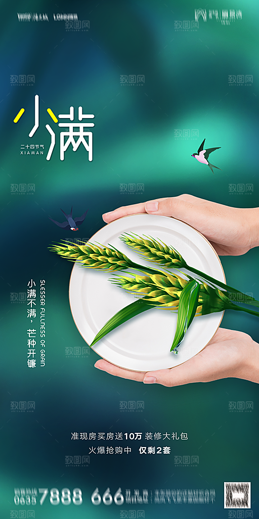 地产小满节气简约大气海报