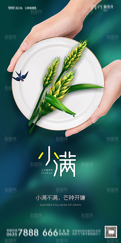 地产小满节气简约大气海报