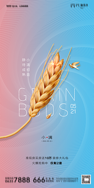 地产小满节气简约大气海报