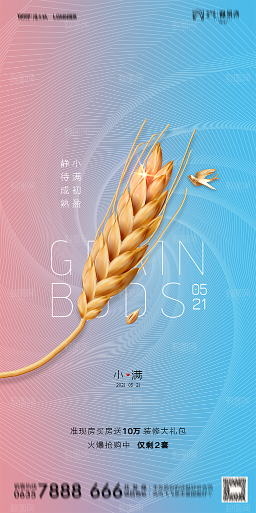 地产小满节气简约大气海报
