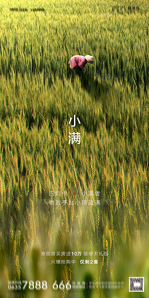 地产小满节气简约大气海报