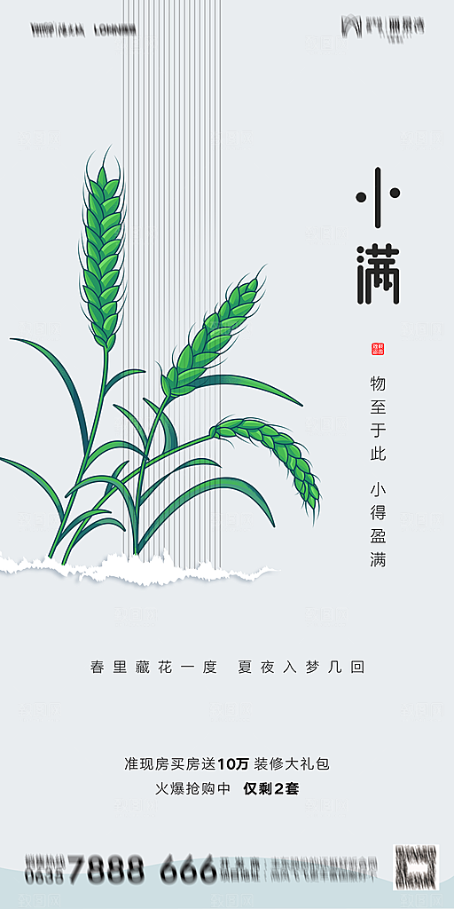 地产小满节气简约大气海报