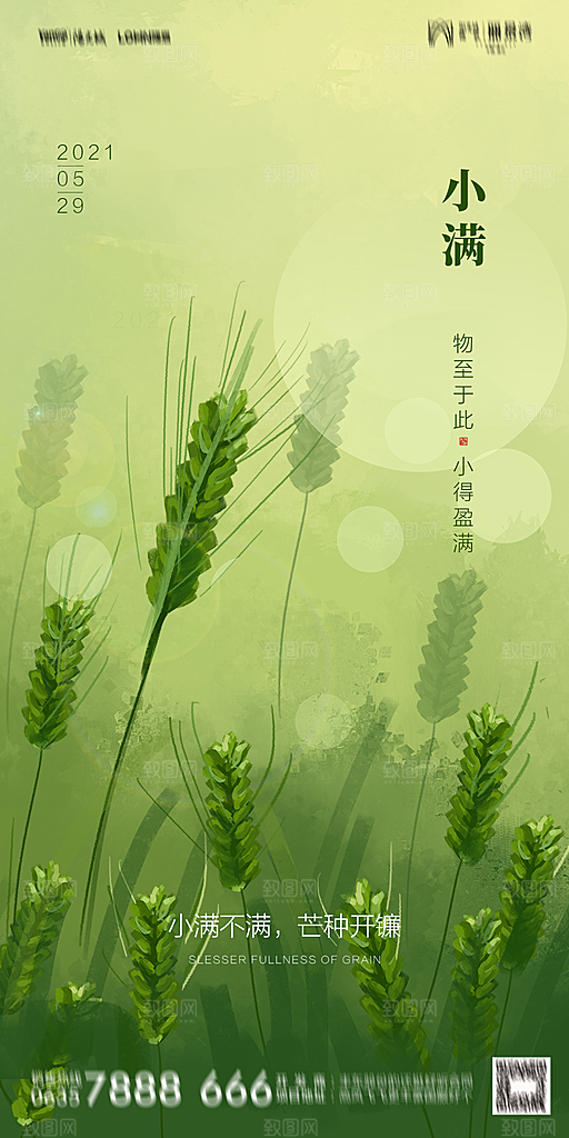 地产小满节气简约大气海报
