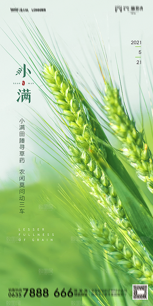 地产小满节气简约大气海报