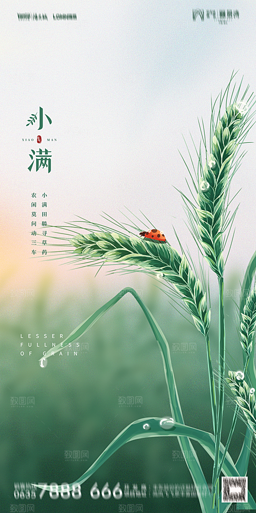地产小满节气简约大气海报
