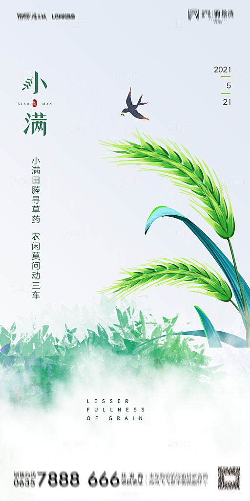 地产小满节气简约大气海报