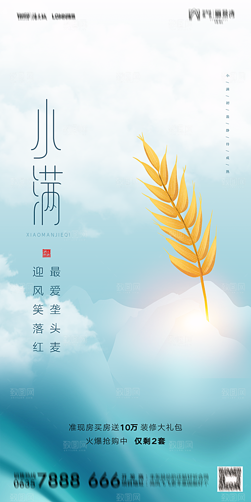地产小满节气简约大气海报