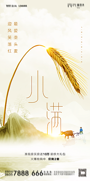 地产小满节气简约大气海报
