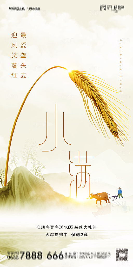 地产小满节气简约大气海报
