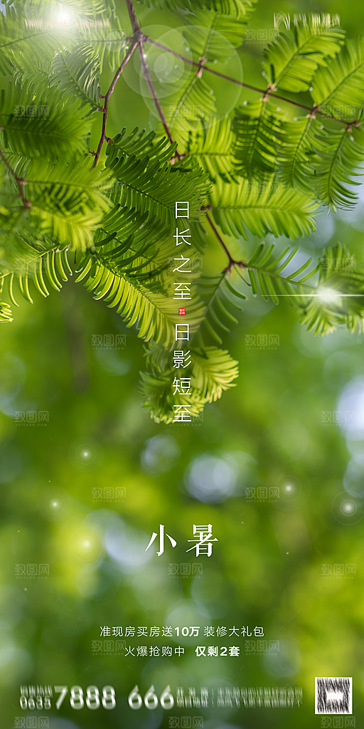 地产小暑节气简约大气海报