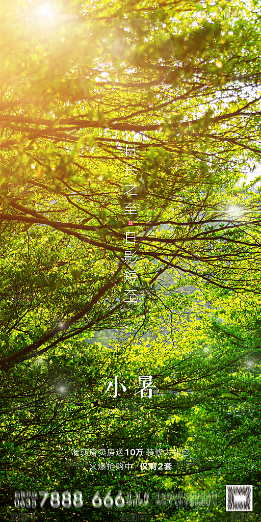 地产小暑节气简约大气海报