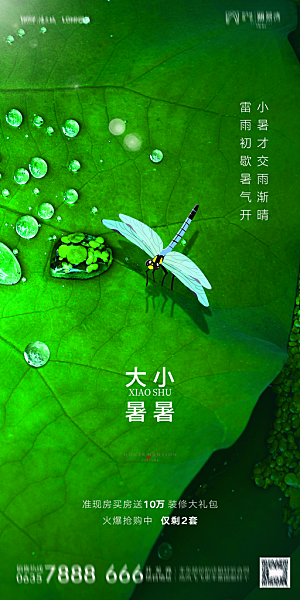 地产小暑节气简约大气海报