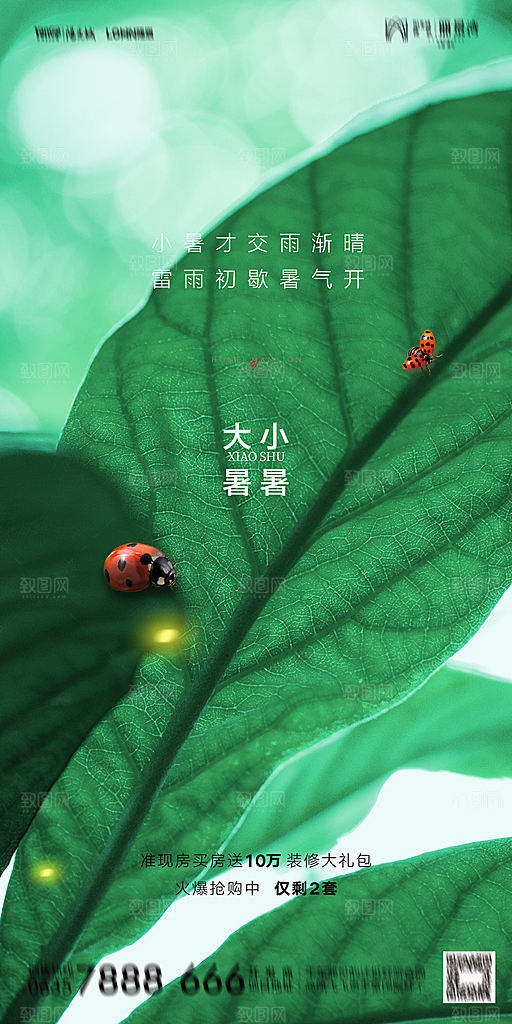 地产小暑节气简约大气海报