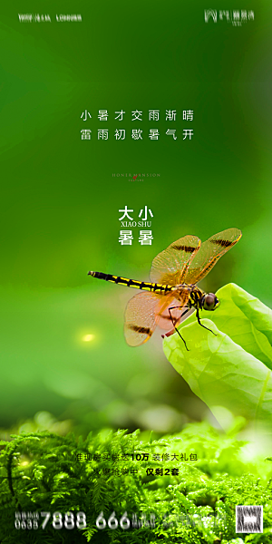 地产小暑节气简约大气海报