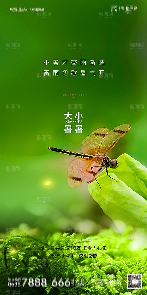 地产小暑节气简约大气海报